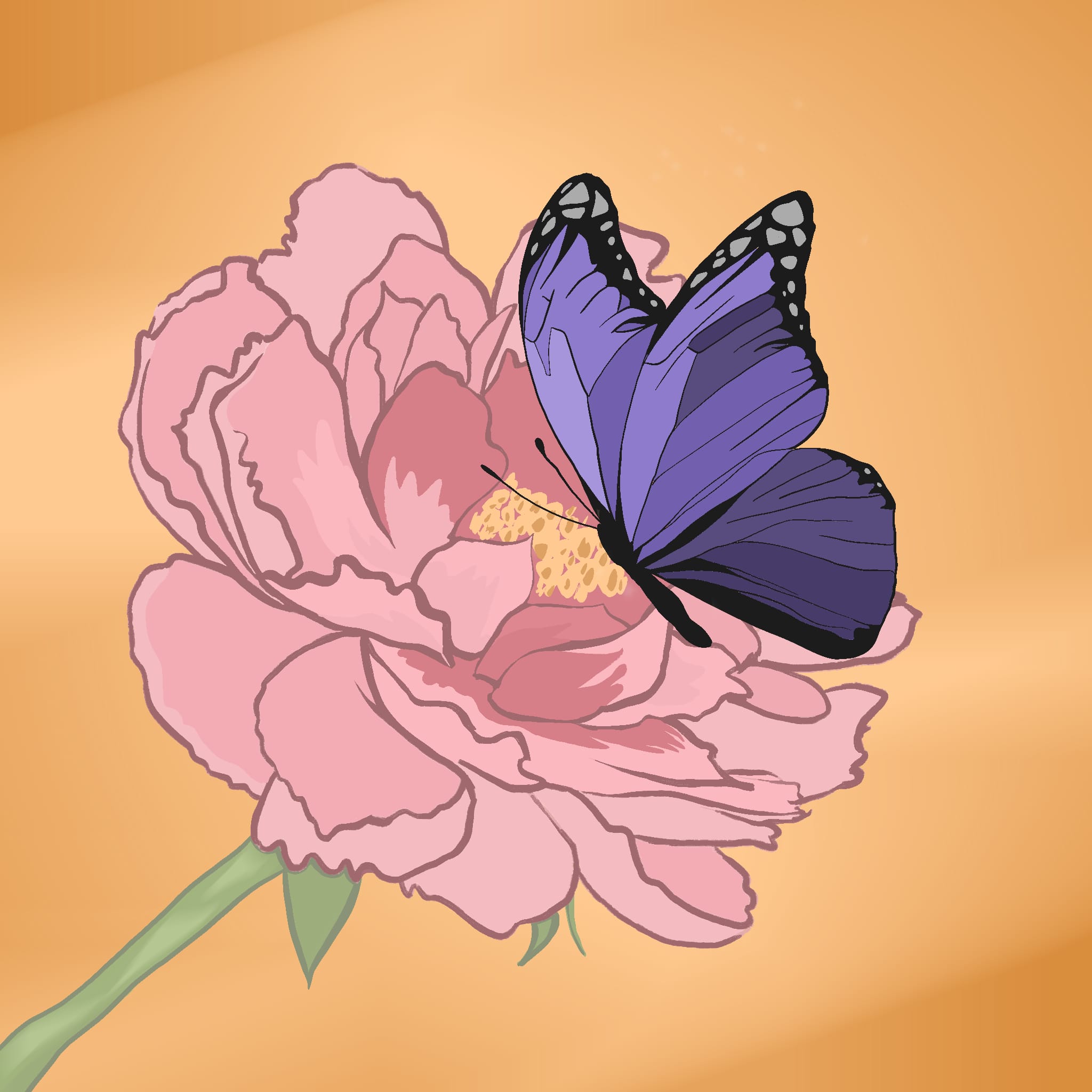 RenouvoKinesio by LP